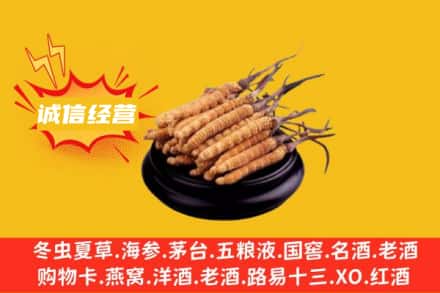 南平回收冬虫夏草